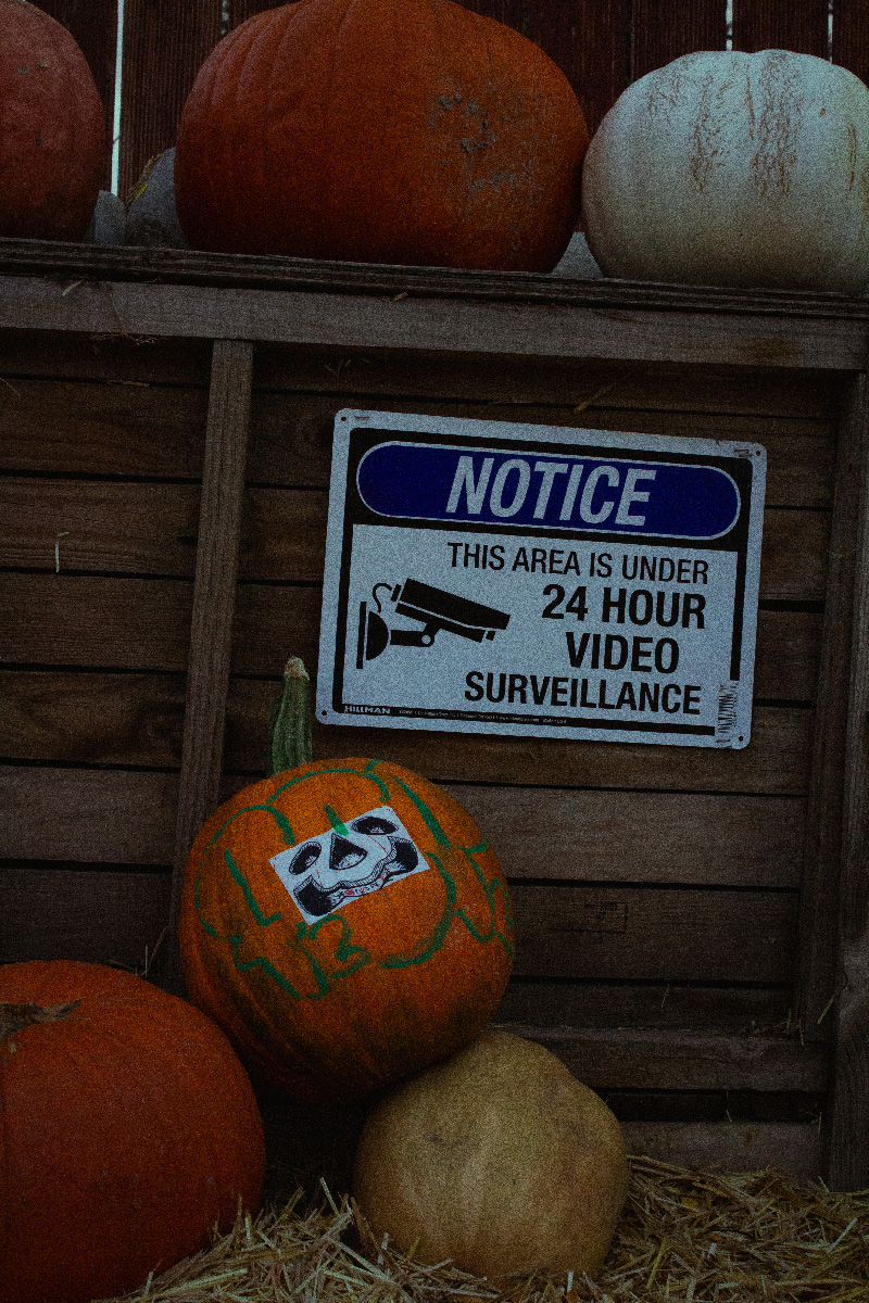 Pumpkin and security sign