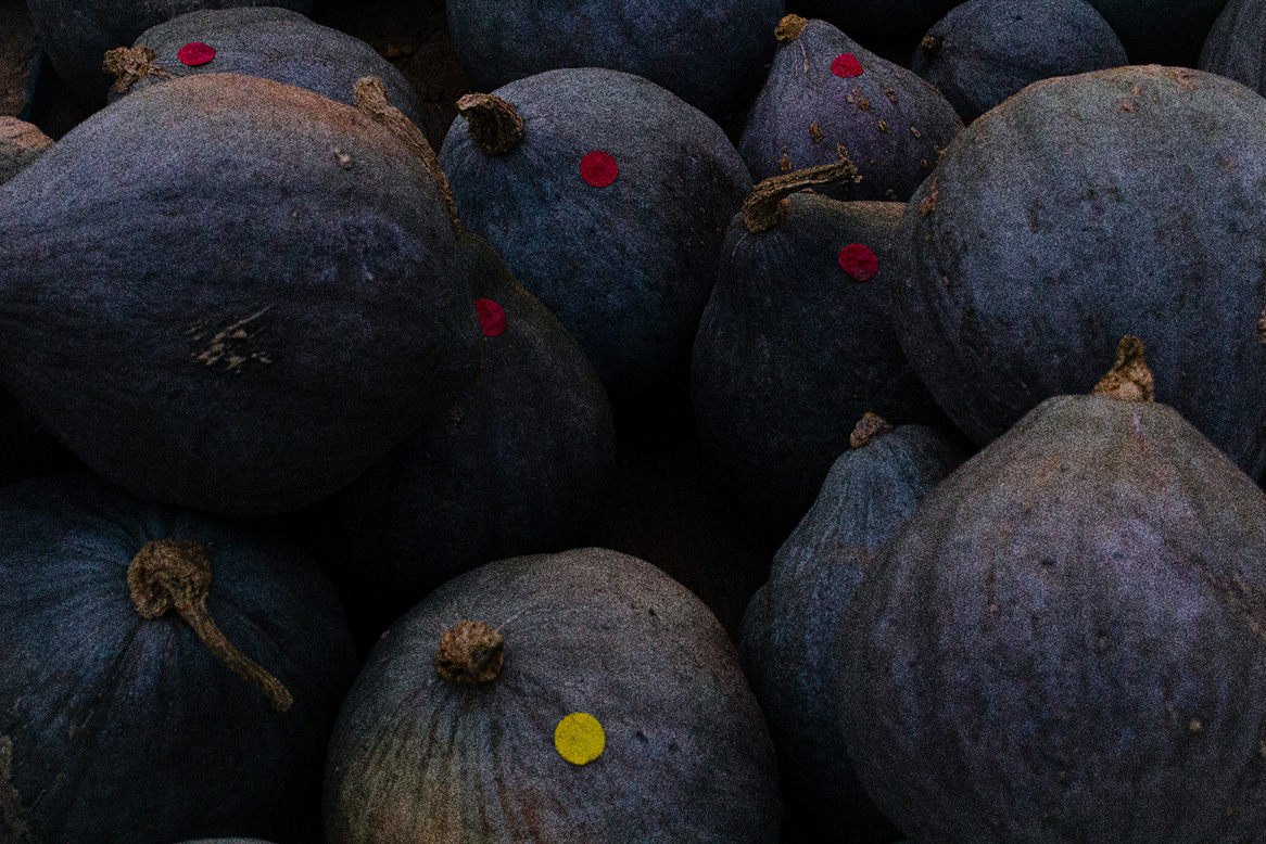 purple gourds